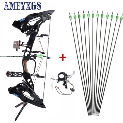 21.5-60lbs Archery Steel Ball Dual Purpose Compound Bow CNC Aluminum Alloy Processing 330/460FPS Shooting Hunting Accessories
