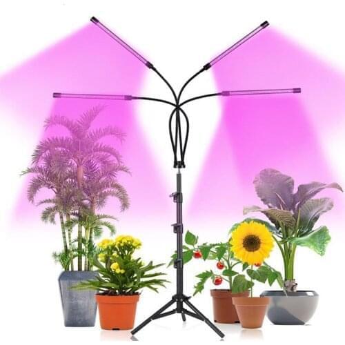 Phytolamp Full Spectrum Led Grow Light USB Indoor Flower Seeds Growing Led Light For plants With Control