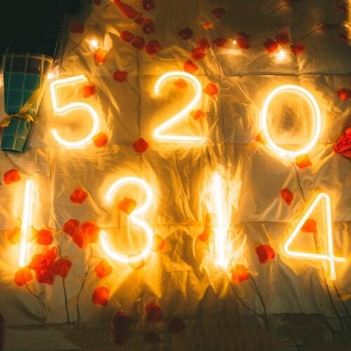 LED Neon Light Number Neon Sign Wedding Proposal Decoration Lamp Room Atmosphere Night Lights Home Festival Birthday Party Decor