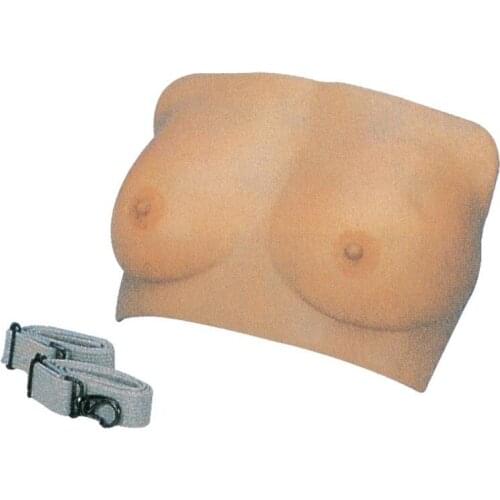 Breast Examination Model Medical Model