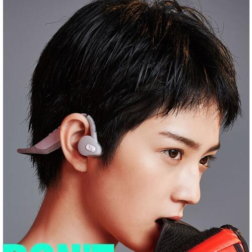 WELLVA Headphones With Microphone