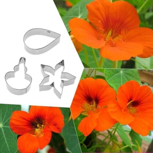 3 pcs/set Nasturtium Petal Cutters Set Stainless Steel Fondant Cake Cookie Decorating Tools