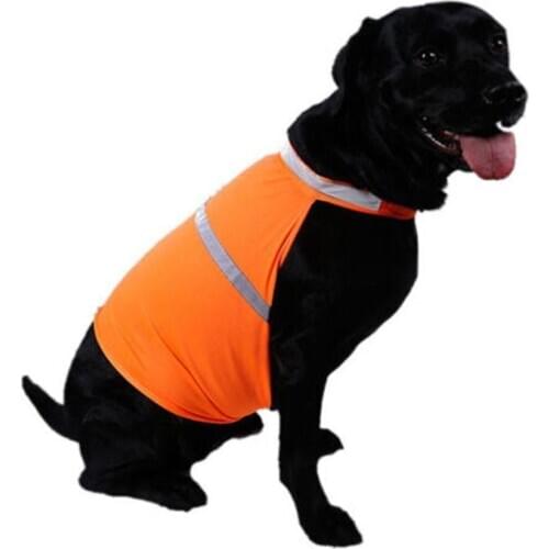 AsyPets Clothes And Footwear For Dogs