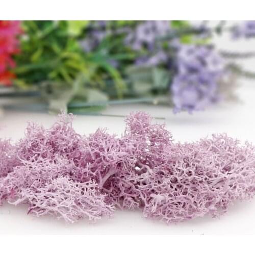 20/40g Artificial Moss Fake Green Plants Eternal Life Grass Home Garden Shop Decor Mini Pool Fish Tank Landscaping DIY Crafts