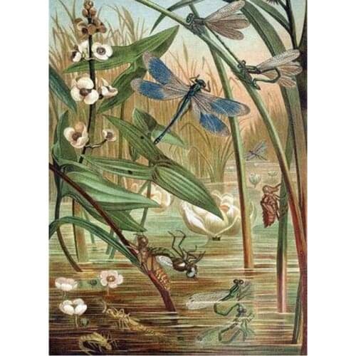 Dragonfly diamond painting diy full square round drill animal 5D mosaic embroidery rhinestone sale needlework wall decorZP-2958