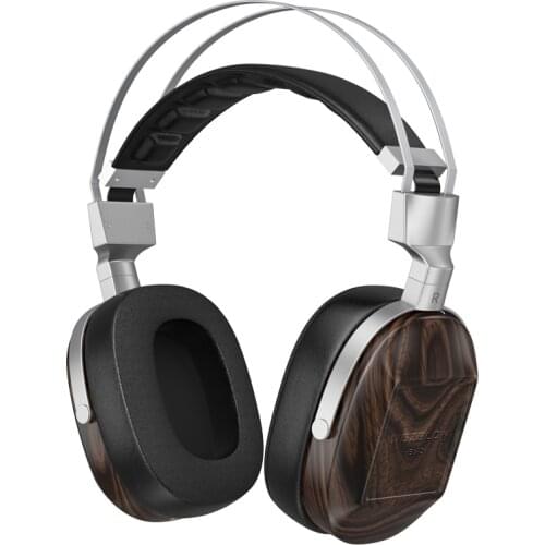 WGZBLON Headphones With Microphone