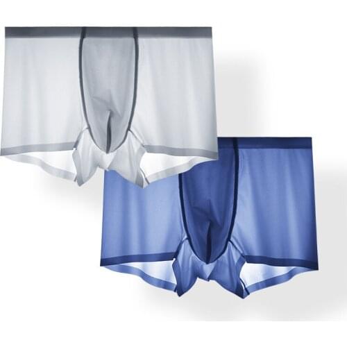 2Pcs/lot Men Boxer Shorts Sexy Underwear Ice Silk Male Panties Plus size Cueca Masculina Hombre Slips men Penis Pouch