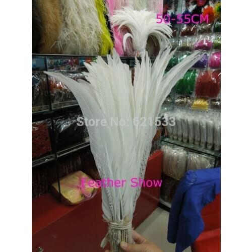 100Pcs/lot 50-55CM SILVER PHEASANT Tail Feathers,Loose Silver Pheasant Tails for Craft/Art/Bridal/Halloween