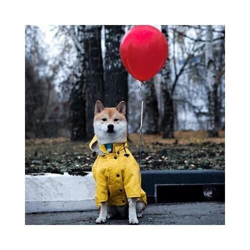 Stitchdog Clothes And Footwear For Dogs