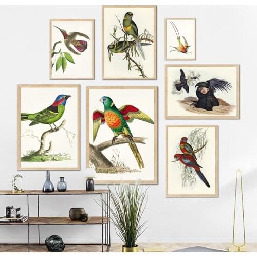 Colorful Hummingbird Parrot Bird Vintage Wall Art Canvas Painting Nordic Posters And Prints Wall Pictures For Living Room Decor