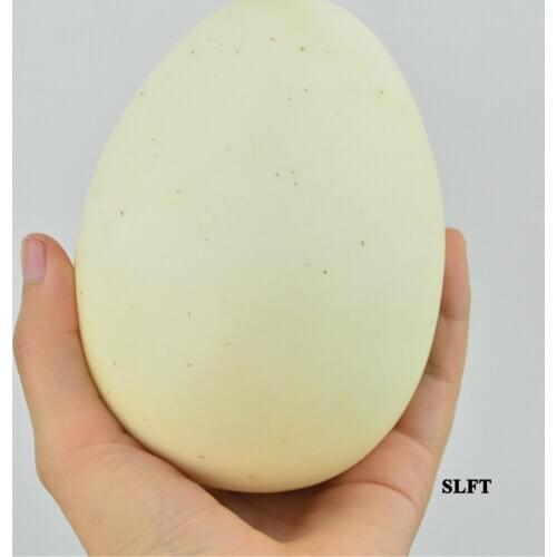 Fake ostrich dinosaur eggs model for kids children toys hotel restaurant store shop decoration simulation artificial food props