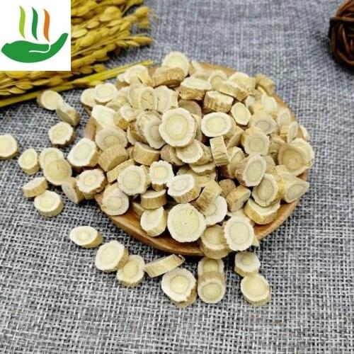 Astragalus Membranaceus Wild Astragalus Milkvetch