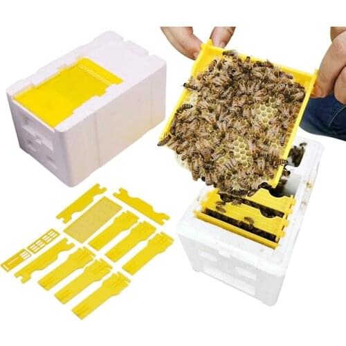 Queen Bee Rearing Mating Beehive Apiculture Harvest Pollination Bees Hive Box Reserve Honey Beekeeping Equipment For Beekeeper