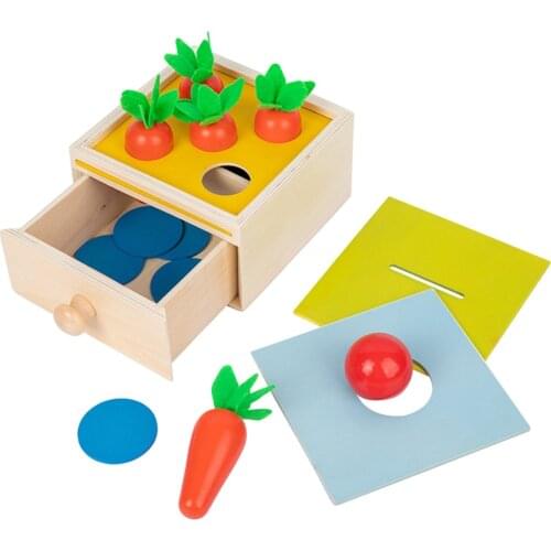 Montessori Material Object Permanence Box Wooden Toy Tray and Ball Drop Carrot Sorting Game Coin Box Baby Learning Toys Box