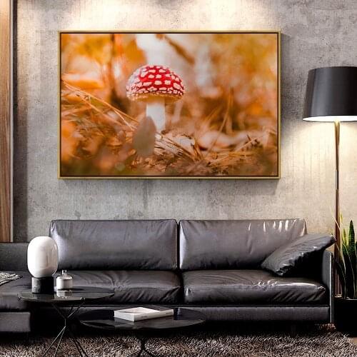 Artcozy Oil Canvas Painting fly_agaric_mushroom_red For Home Decoration Wall Art