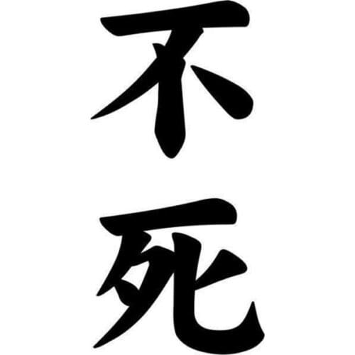 13cm*6.3m Immortality Kanji Japanese Vinyl Car Sticker c1-6875