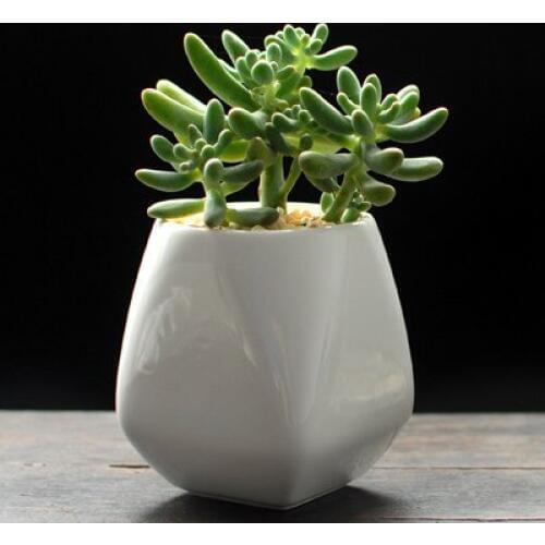 Garden supplies simple zakka geometric small garden flower pots planters desktop office home decorative green plant pots 65*90mm