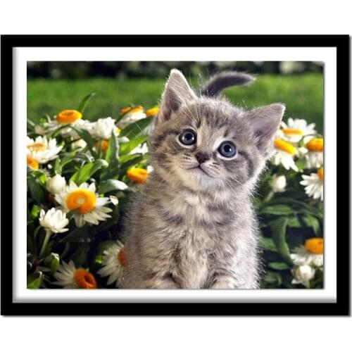 Diamond Embroidery Full Persian Cat Diamond Painting Cross Stitch Diamond Of A Cat Paintings By Numbers On Canvas