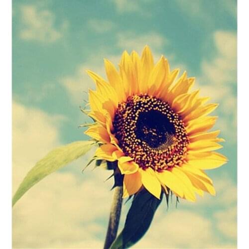 New mosaic full laid diamond painting embroidery beads Beautiful sunflowers and sun cross stitch kit handwork AH066