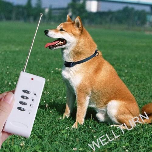 100pcs/lot New Fashion Remote ELECTRONIC Dog Control Small Dog Pet No Anti Bark Vibration Training Shock Collar
