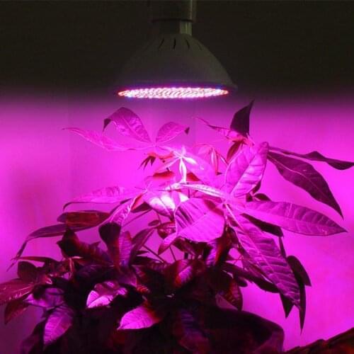 LED Grow Light Full Spectrum E27 Succulent Fill Light Flower Nursery Plant Growth Light 6W 10W 15W 20W Drop Shipping