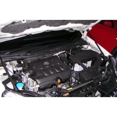 For Nissan Lafesta 2004-2012 (B30/NB30) Front Bonnet Hood Modify Gas Struts Lift Support Shock Damper Accessories Absorber