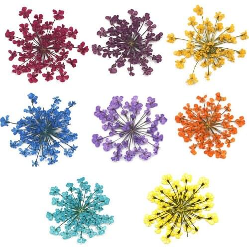 120 pcs Natural dried flower gypsophila lace flower embossing Epoxy dried flower phone case DIY nail art dried flower