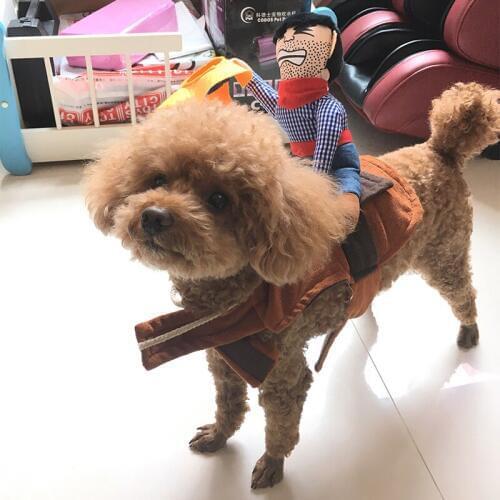Cowboy Rider Funny Pug Costume Pet Dog Clothes for Small Medium Large Dogs Pets Clothing Chihuahua French Bulldog Apparel