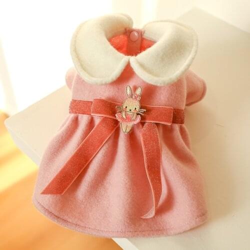 Pet Clothes For Small Dogs Princess Gilrs Dress Dog Winter Skirt Suit Chihuahua Yorkies Puppy Warm Clothing Ropa Perro Costume