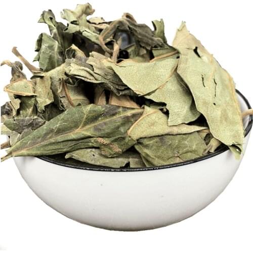 Persimmon Leaf Extract; Folium Kaki(Persimmon Leaf);Persimmon Leaf Extract; Folium Kaki(Persimmon Leaf)