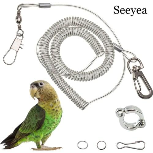 Parrot Outdoor Flight Training Rope With Foot Ring Set Flexible Bird Chain With Anti Bite Plastic Wire Rope Pet Products 3m 6m