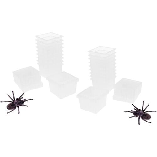 20 Pcs Reptile Food Water Feeder Feeding Spider Basin Insect Turtle Breeding