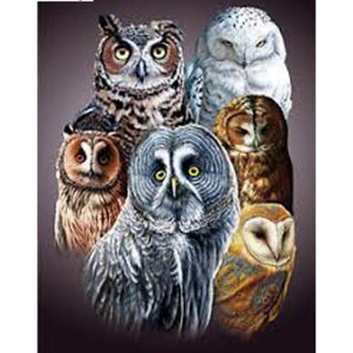 3D DIY Diamond Painting Birds And Owls 5D Full Diamond Painting Cross Stitch Animal Needlework Scenic Home Decorative