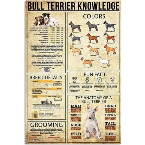 Bull Terrier Knowledge Metal Tin Signs Poster Home Art Wall Decor Plaque Farm Bathroom Bedroom Living Bar Cafe Kitchen Farmhouse