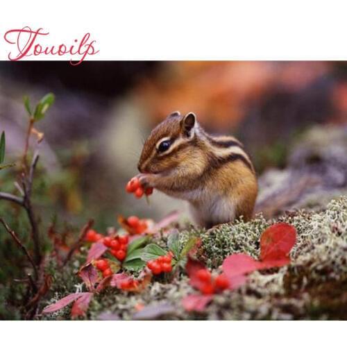 TOUOILP 5d Diamond embroidery chipmunks 5d diy diamond painting full diamond mosaic puzzle picture of rhinestones cross-stitch