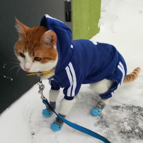 Fashion Cat Clothes For Cats Winter Warm Cozy Cat Clothing For Pets Kitten Outfit Kedi Gatto Hooded Coat Jumpsuit Pets Products