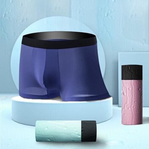3 Pcs/Lot Mens Underwear Ice Silk Soft Comfortable Solid Color Underwear For Men