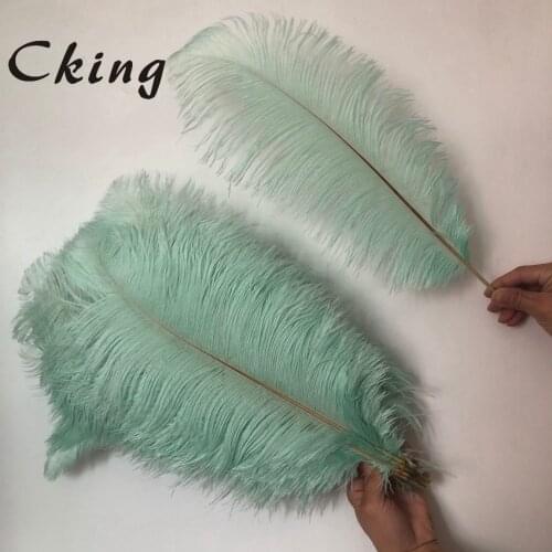 55-60cm long mint green dyed ostrich feathers plumes natural feather for Carnival Costumes Party Home Wedding Decorations Plumes
