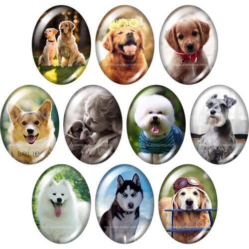 Pet Dogs Animals Love dog 13x18mm/18x25mm/30x40mm mixed Oval photo glass cabochon demo flat back Jewelry findings TB0027