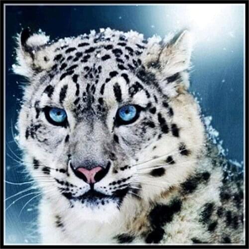 Cartoon Animal Parrot Owl Bird Printed 11CT Cross-Stitch DIY Embroidery Kit DMC Threads Sewing Hobby Handmade Counted