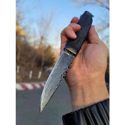 Hand-forged Damascus steel straight blade pattern steel fixed blade outdoor camping tool knife goshawk head handle hunting