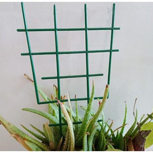 Garden Trellis Arch for Climbing Plant Outdoor Plant Support, Trellis Plastic, Lightweight