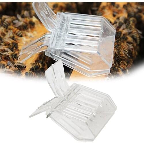 Beeekping Bee Queen Catcher Colorless Clear Plastic Clip Cage Goods Tools For Beekeeper Supplies