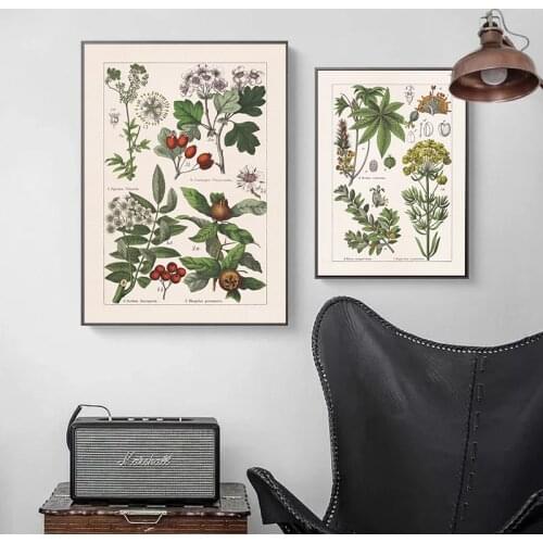 Vintage Adolphe Millot Encyclopedia Canvas Painting Flowers Prints and Posters Cuadros Wall Pictures for Living Room Home Decor