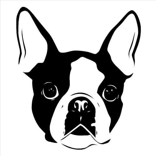 Cute Animal Wall Stickers For Bedroom BOSTON TERRIER DOG FACE vinyl wall art decal sticker adesivo de parede Home Decor D531