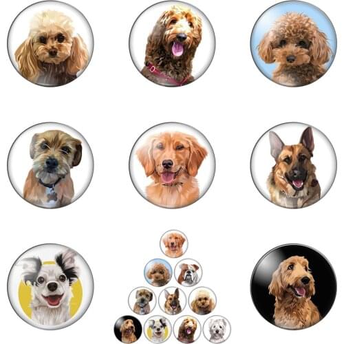 New Dog Love Pet King Charles Spaniel Dogs 10pcs 12mm/18mm/20mm/25mm Round Photo Glass Cabochon Demo Flat Back Making Findings