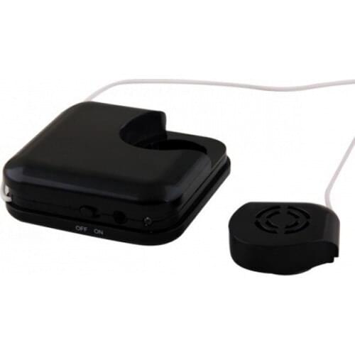 Biggsound Speakers For Speakers