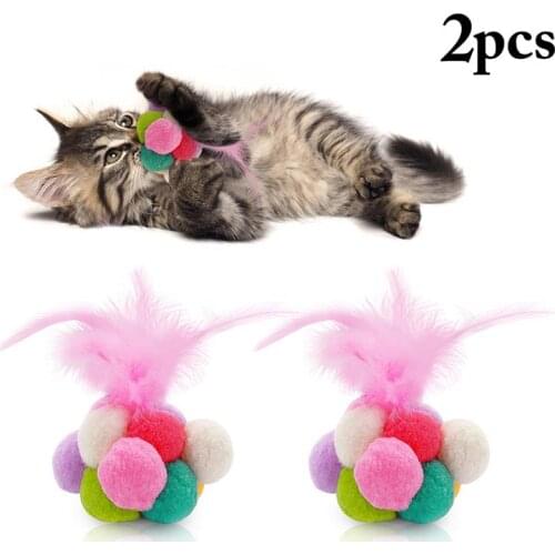 Dorakitten 2Pcs/Set Funny Cat Ball Toys Cat Interactive Bell Pompom Toy Cat Feather Toy Cat Play Ball Pet Supplies Cat Favors