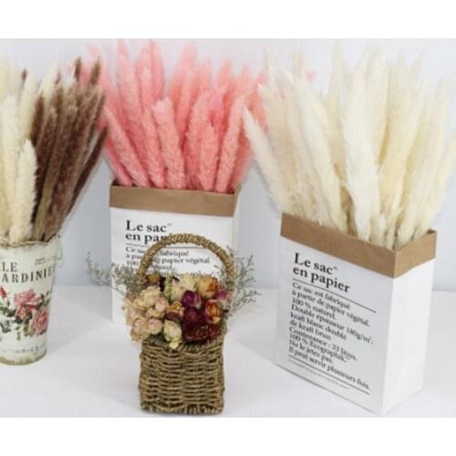 15PCS Bulrush Grass Natural Dried Flowers Artificial Home Wedding Living Room Decoration Accessories Long Bouquet Hotel Decor
