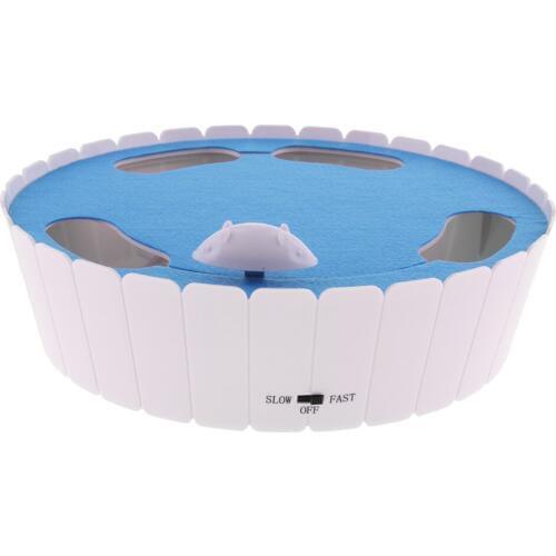 Cat Electric Transport Track Drilling Ground Mouse Interactive Toy